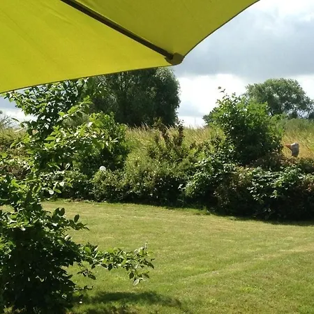 In * Groß Schwansee